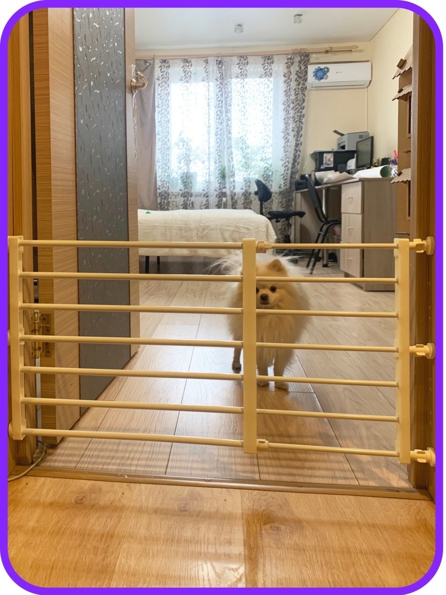 Загородка для собак