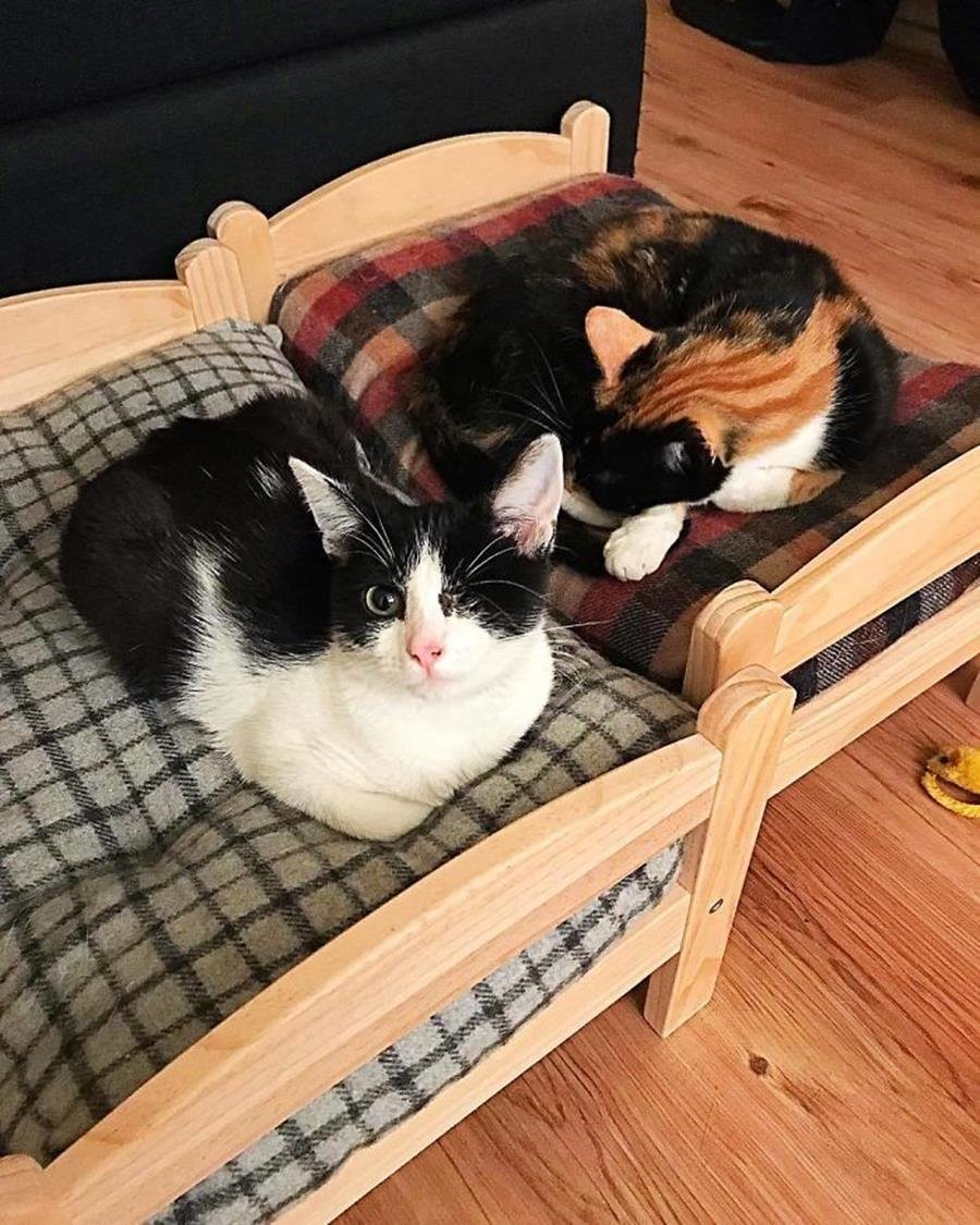 Кроватка для кошки икеа