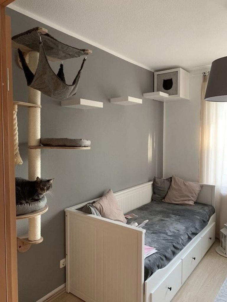 Комната для кошки в квартире
