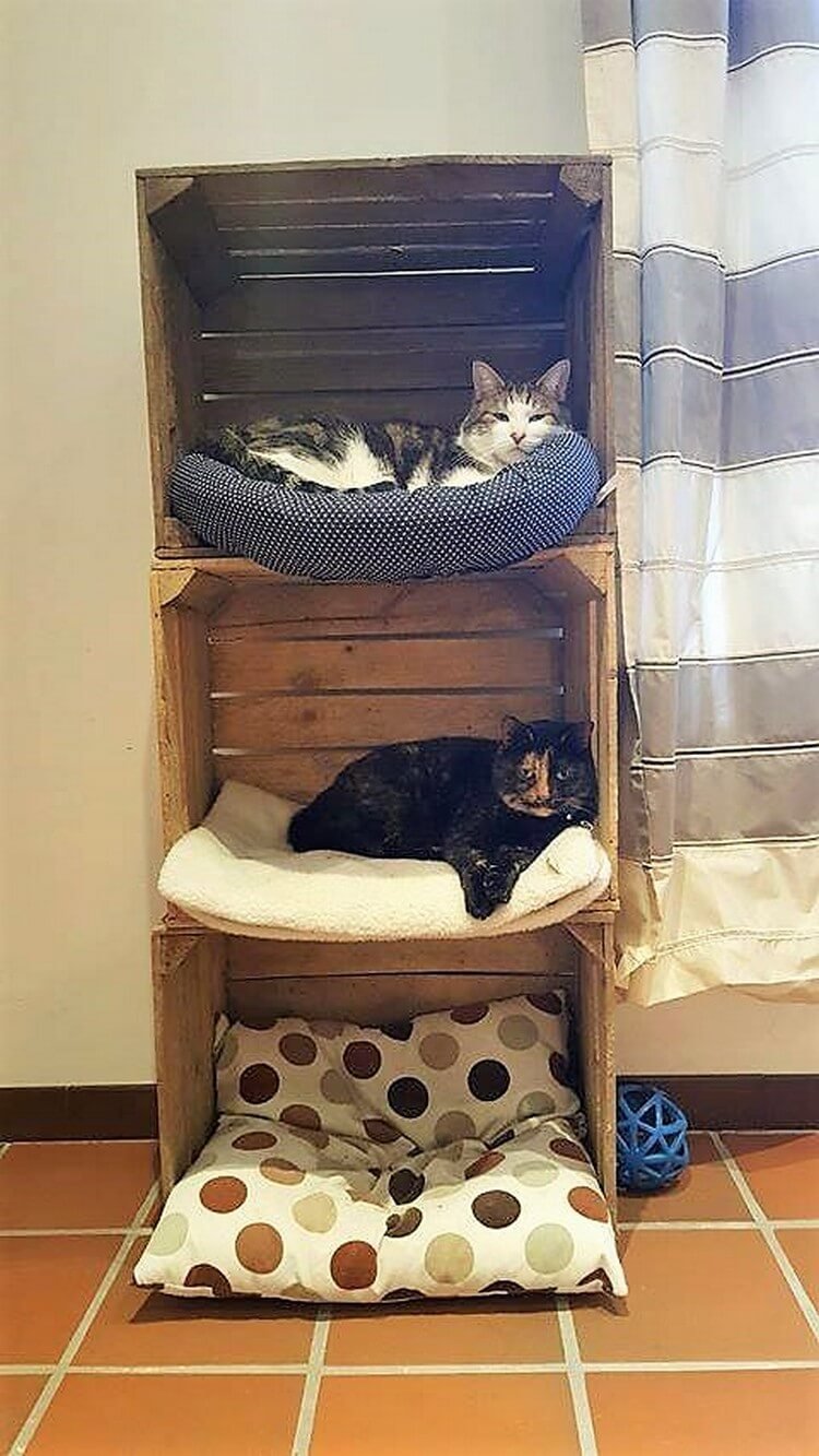 Лежанки и домики для котов
