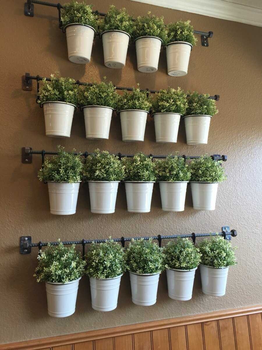 Зелень в горшках на стене