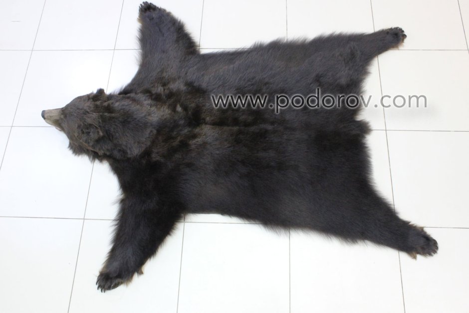 6161 Сибирский медведь, 200 см