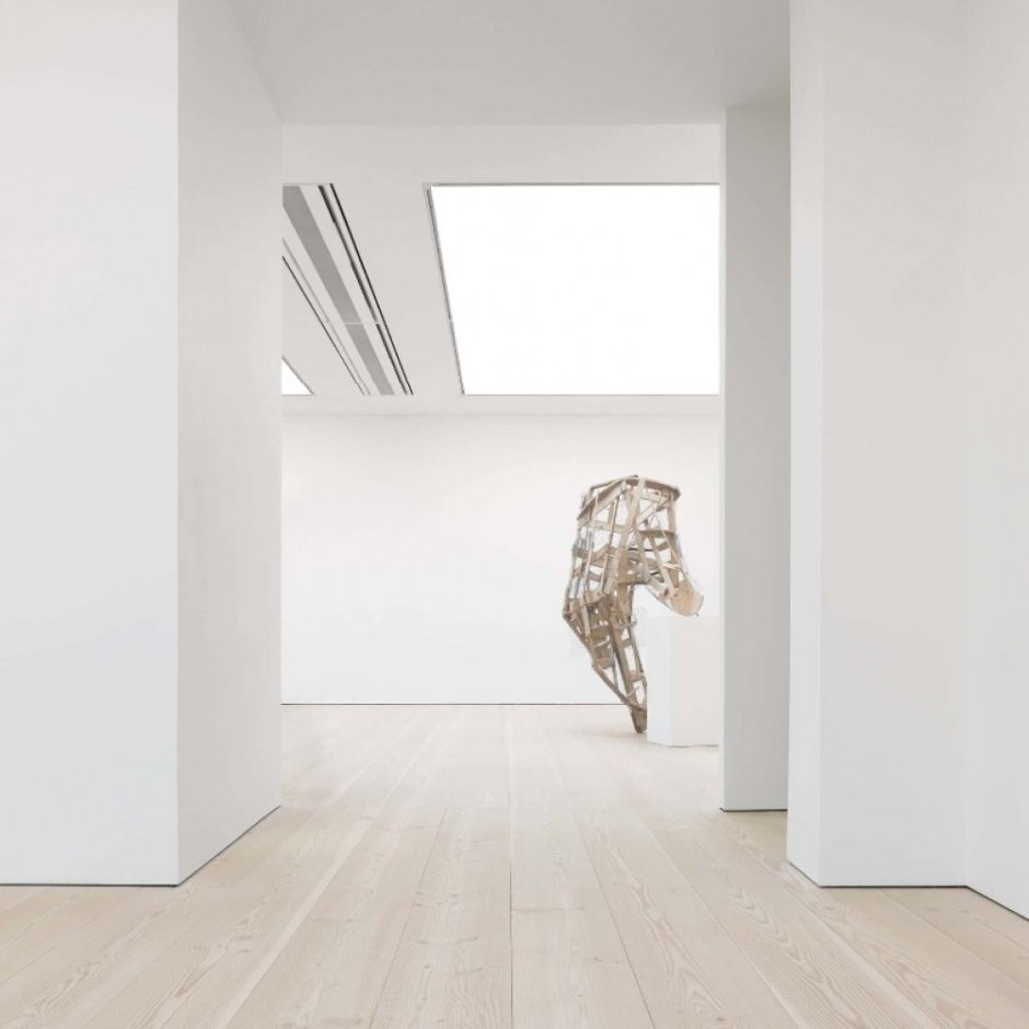 Паркет Dinesen Douglas