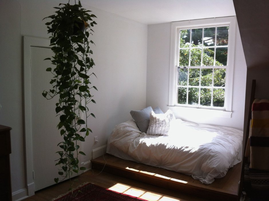 Спальная комната с растениями