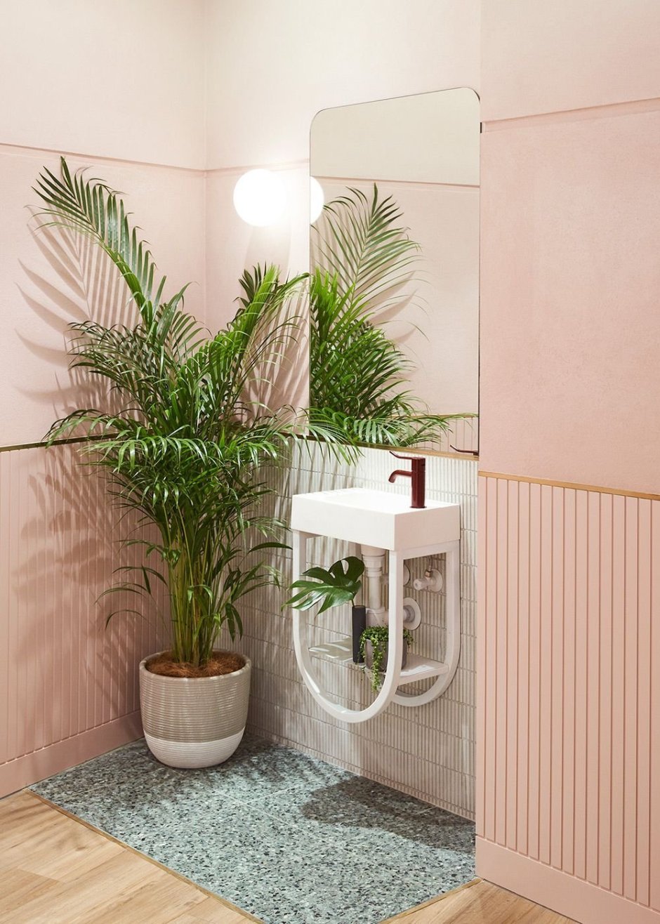Растения в туалетной комнате