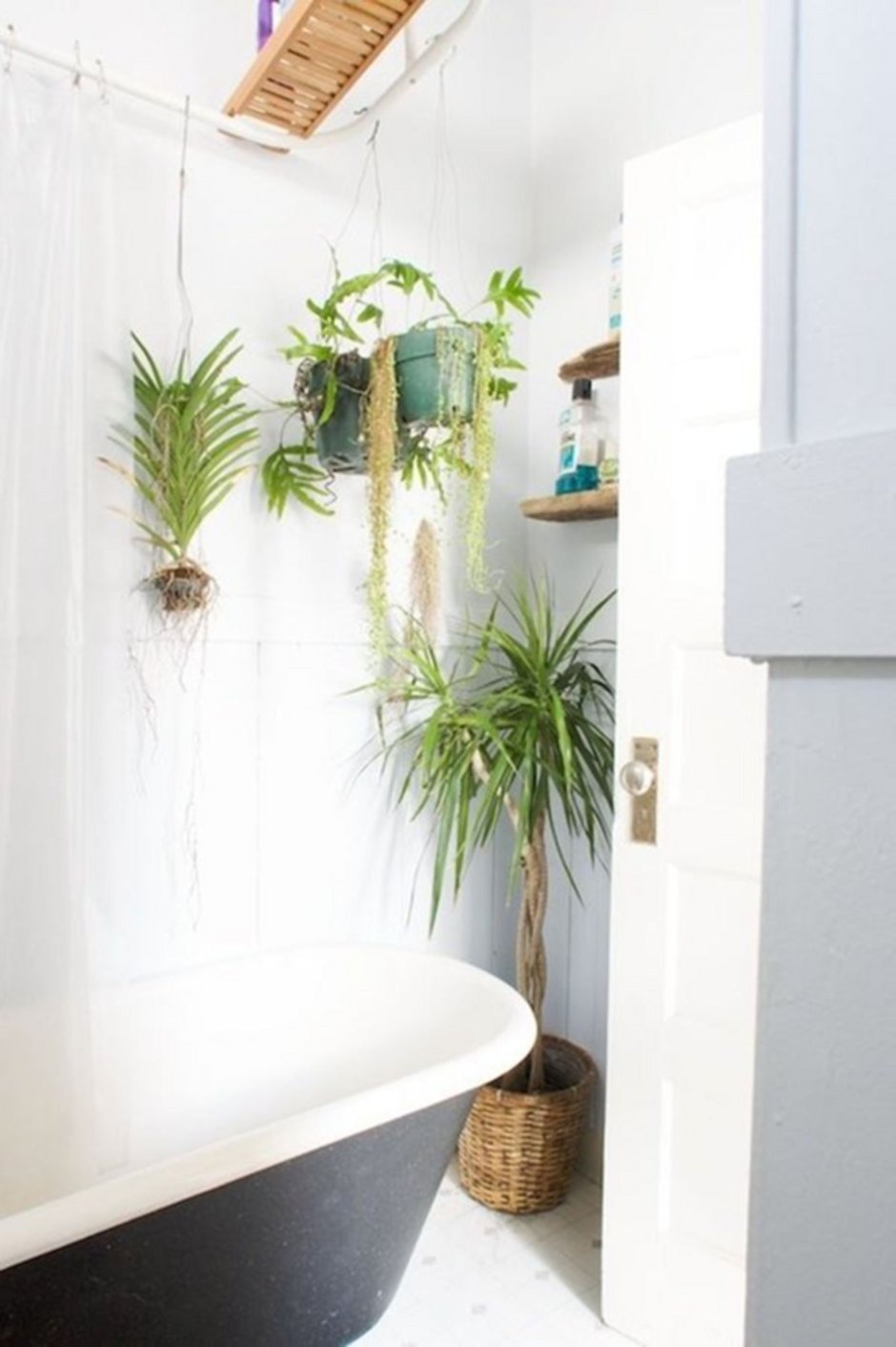Искусственные растения в ванной