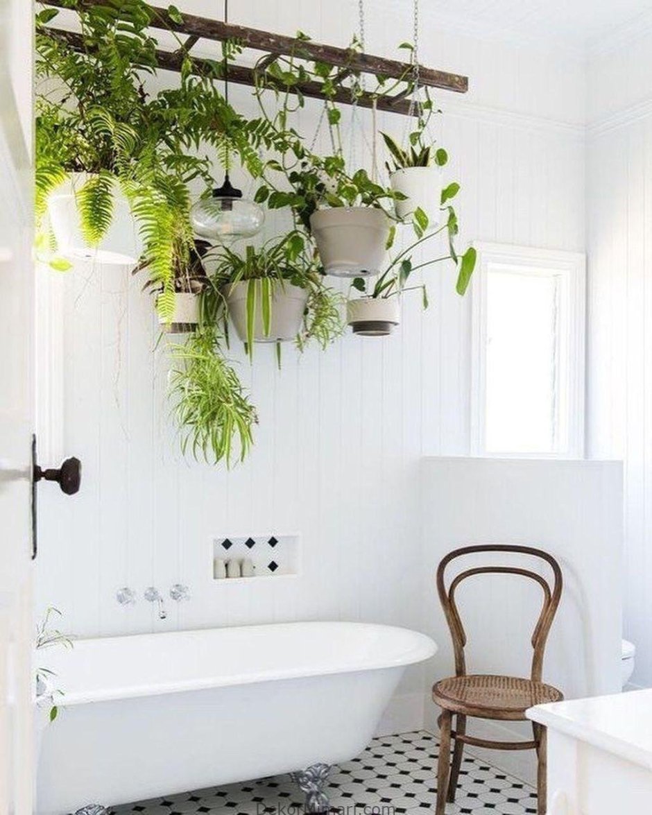 Растения в ванной комнате