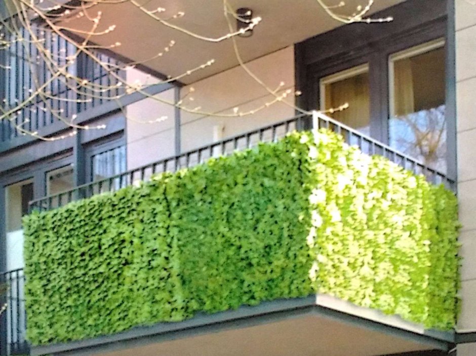 Вертикальное Озеленение балкона