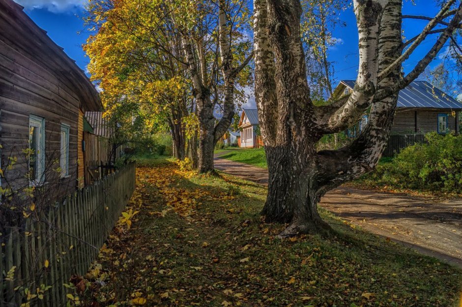 Осенняя глубинка село деревня