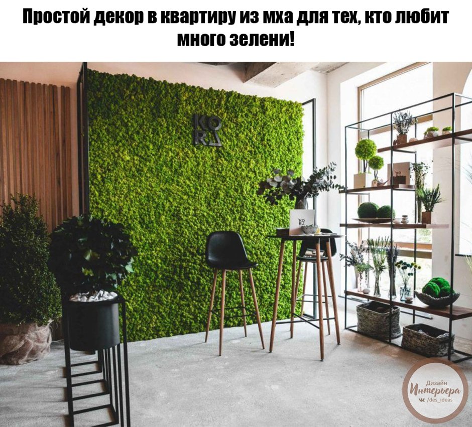 Стена из стабилизированного мха ягель