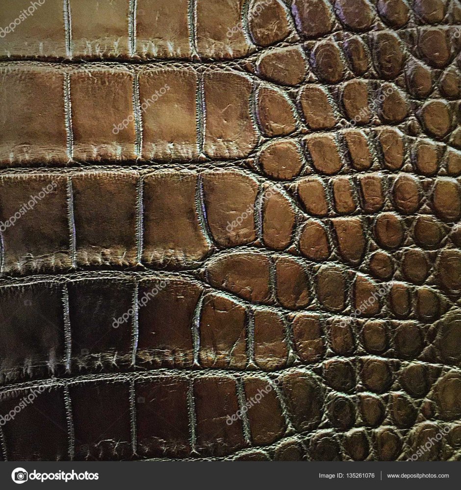 Стена кожа крокодила комната