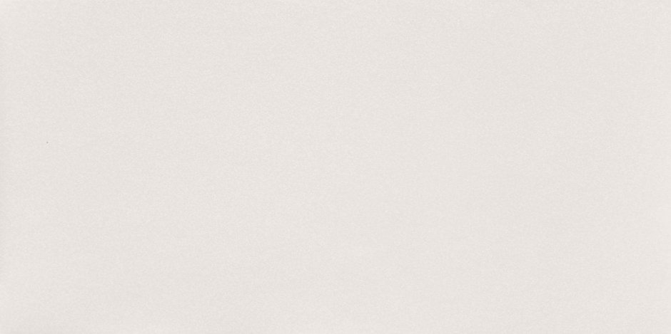 Arte Vicenza White 29.8x59.8