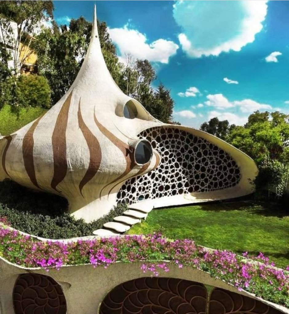 Дом Наутилус (Nautilus House)