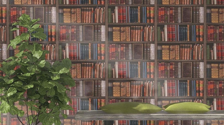 Книжные полки с книгами