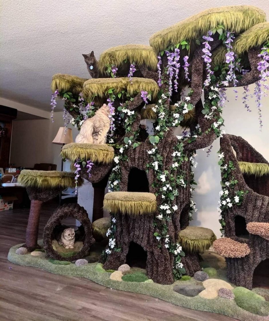 Кошачье дерево