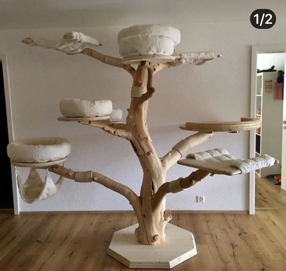 Кошки на дереве