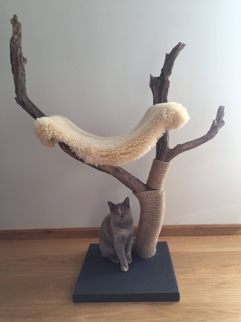 Когтеточка из коряги