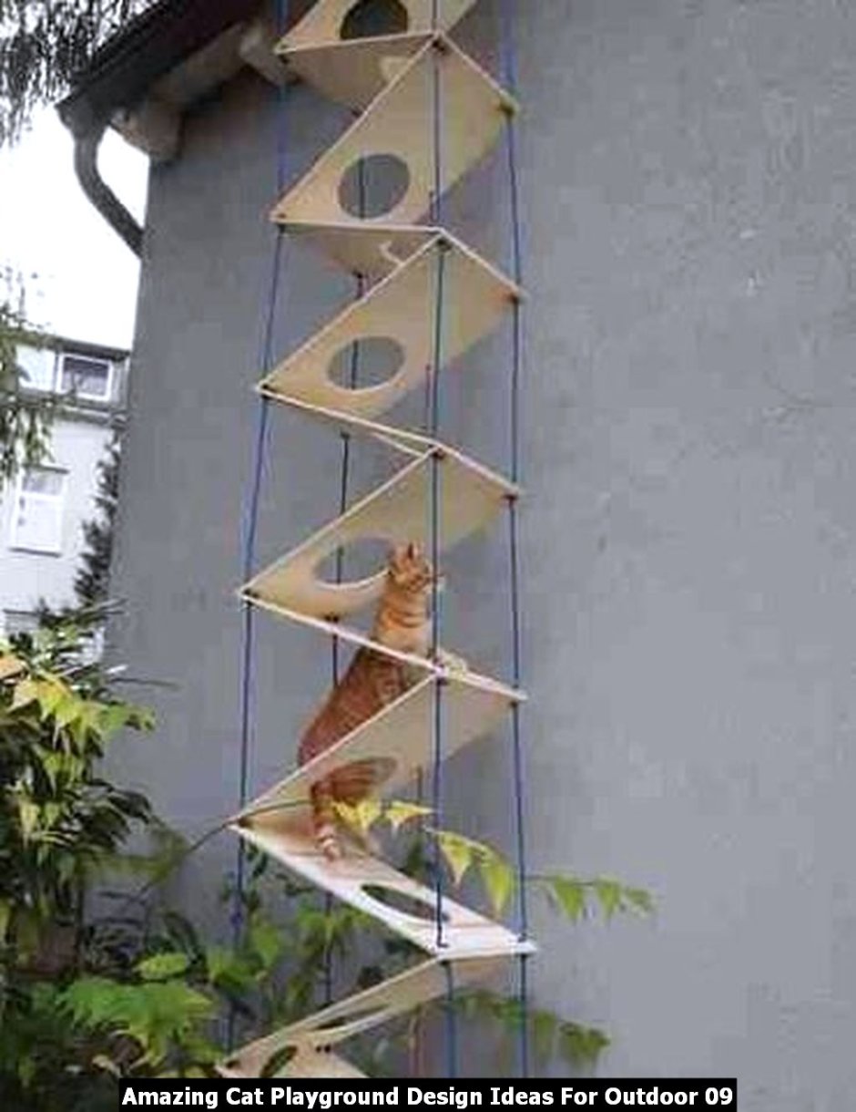 Лестница для кошек