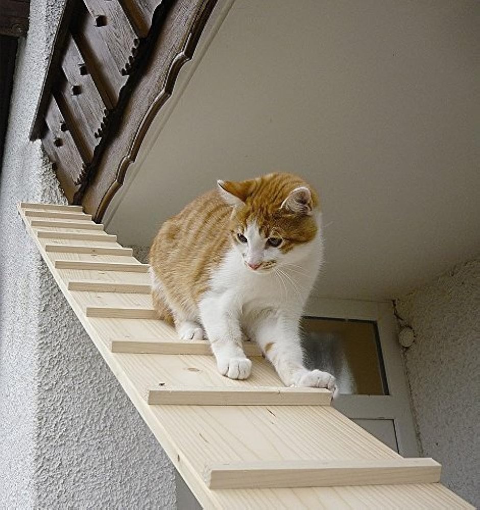 Лестница для кошек