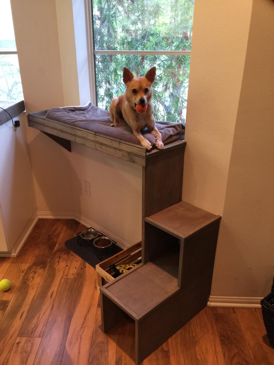 Лестница для собак на подоконник