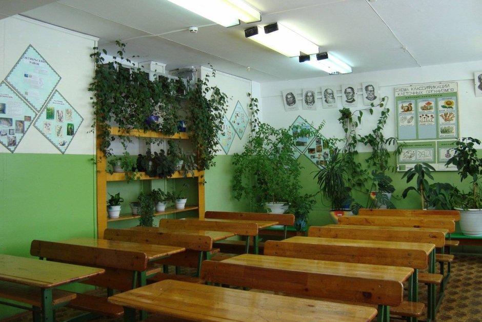 Растения для школьных классов