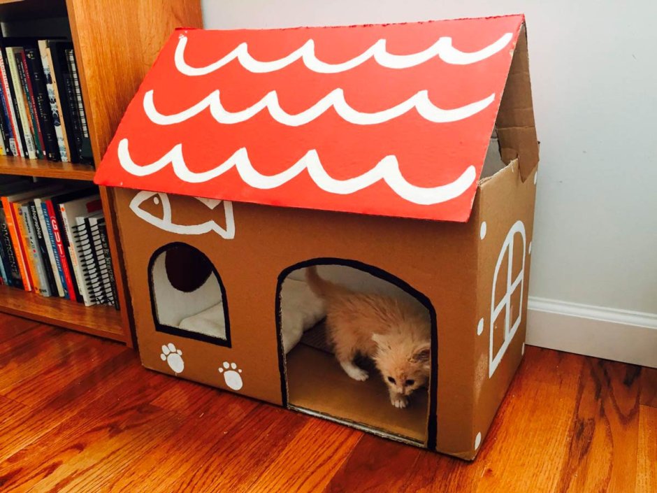 Дом для кота из картонной коробки