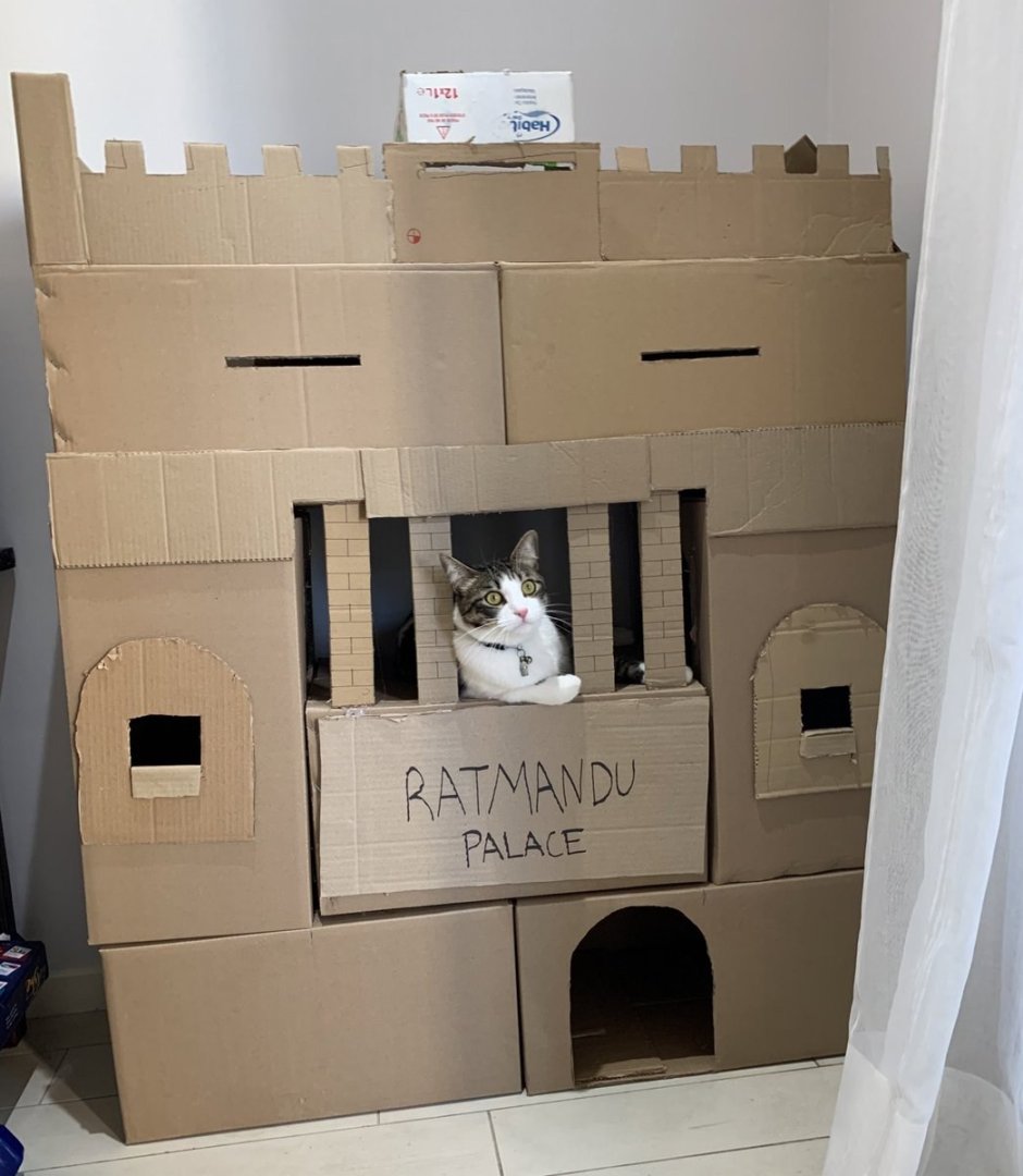 Картонный замок для кошек