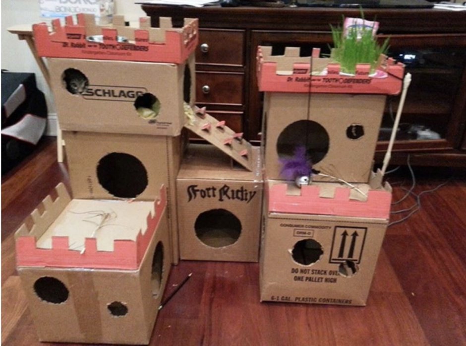 Игровой домик для котят из коробки