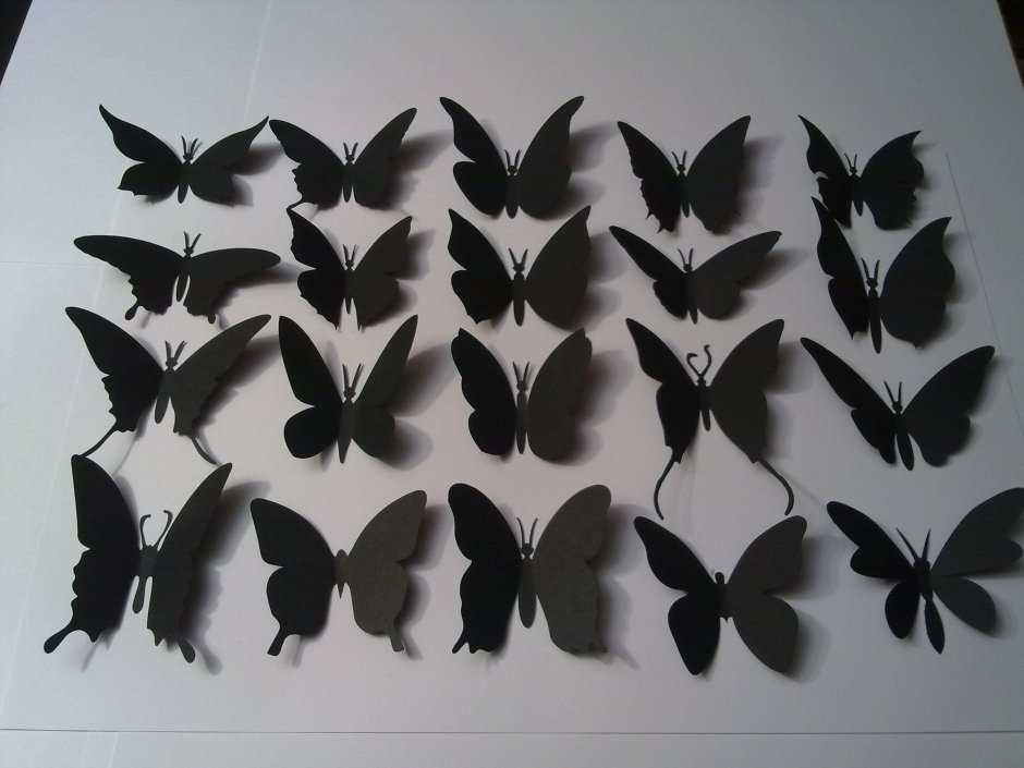 Бабочки из цветной бумаги на стену