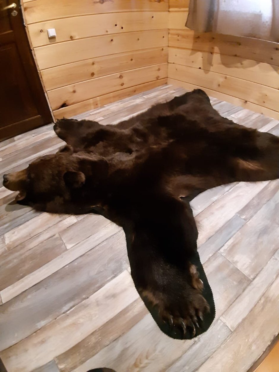 Ковёр из медведя шкуры с головой