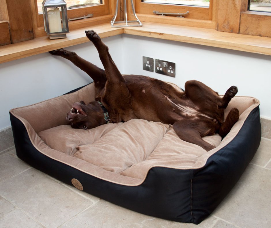 Огромная собачья кровать