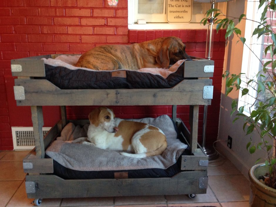 Двухэтажная лежанка для собак