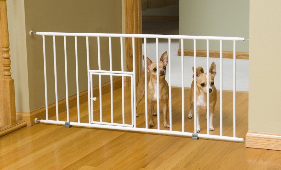 Carlson 0680pw Mini Gate with Pet Door