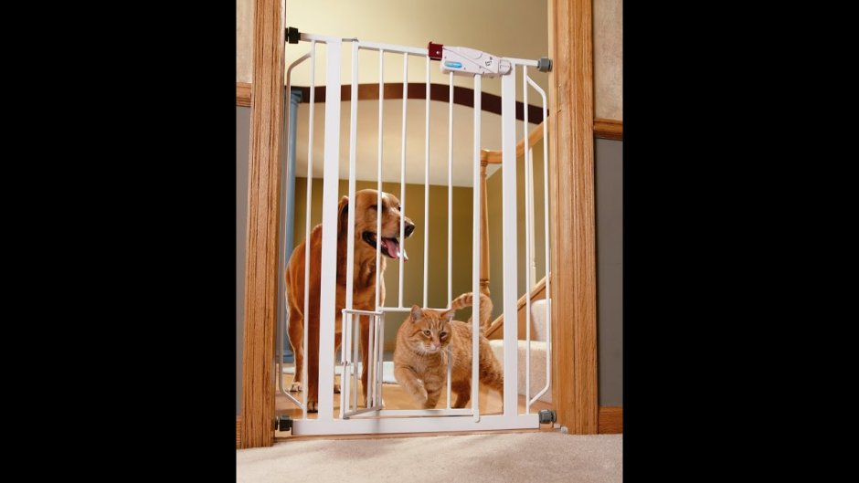 Ограждение для животных Ferplast Dog Gate 70х79 см