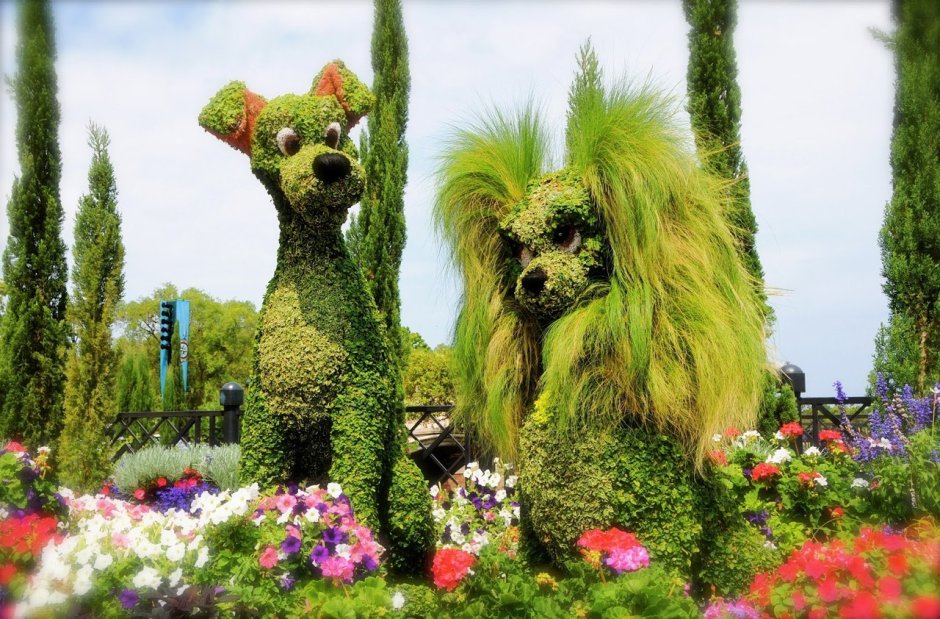 Клумба в форме животных