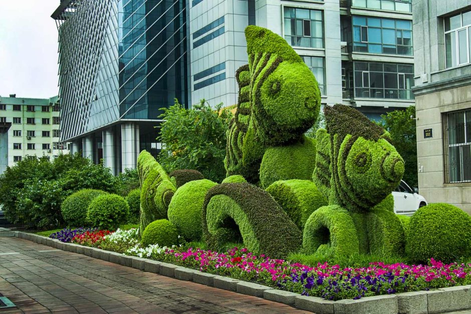Топиарное искусство в городах Израиля