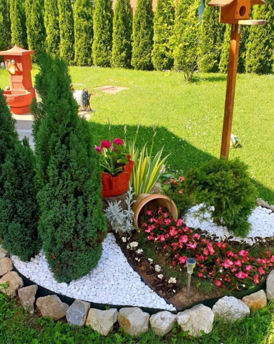 Красивая клумба из каменной розы