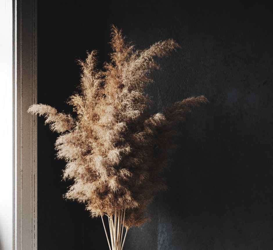 SPEEDTREE Pampas
