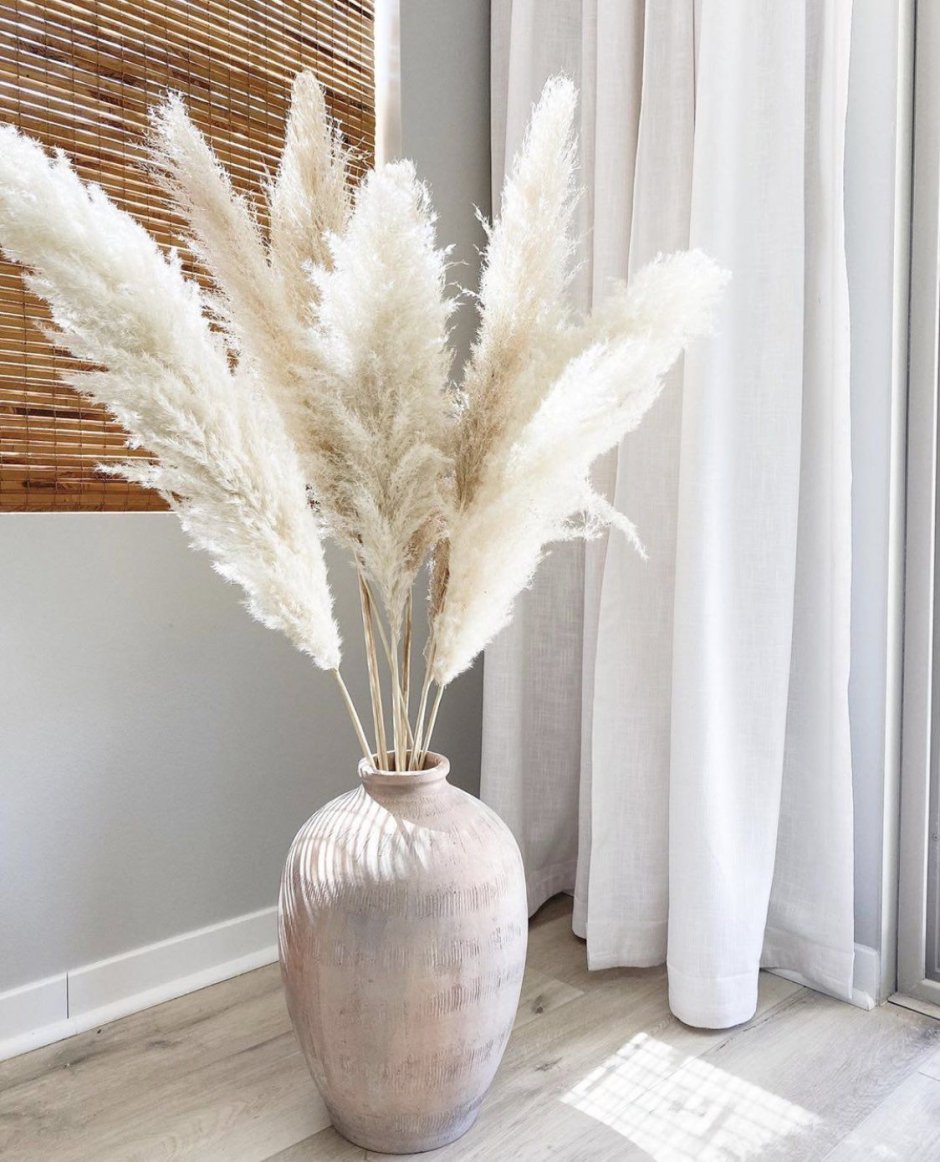 Pampas grass Decor