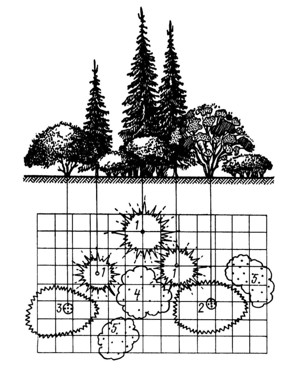 Схема древесно кустарниковых насаждений