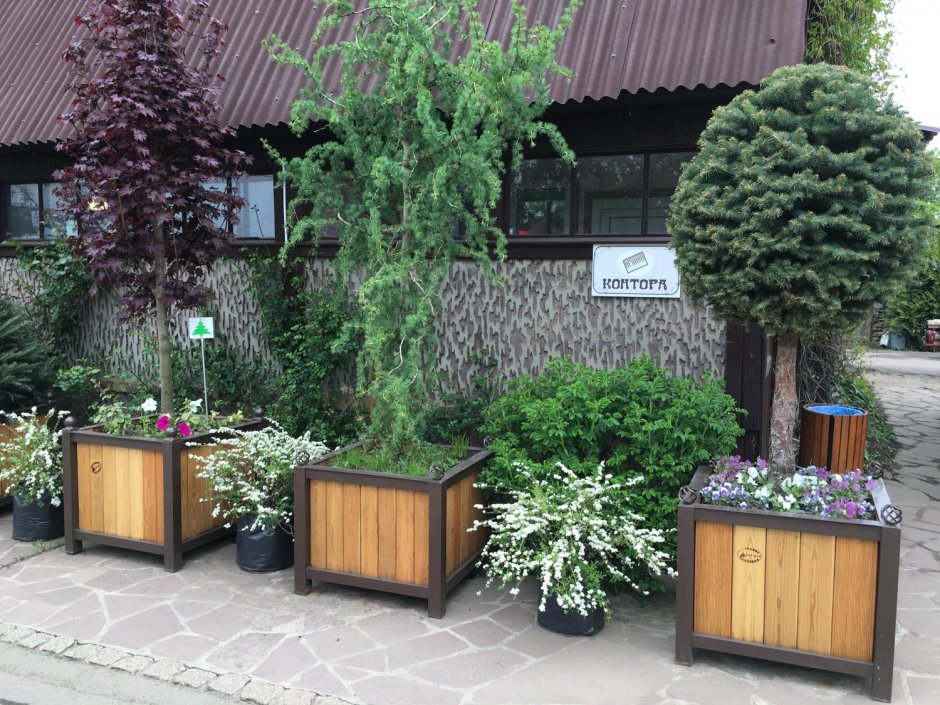 Озеленение уличных кафе