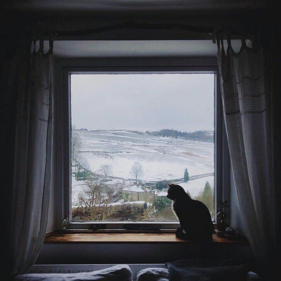 Окно зима Эстетика