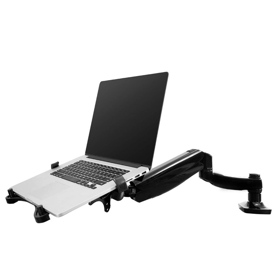 Loctek q5f2 Monitor Stand