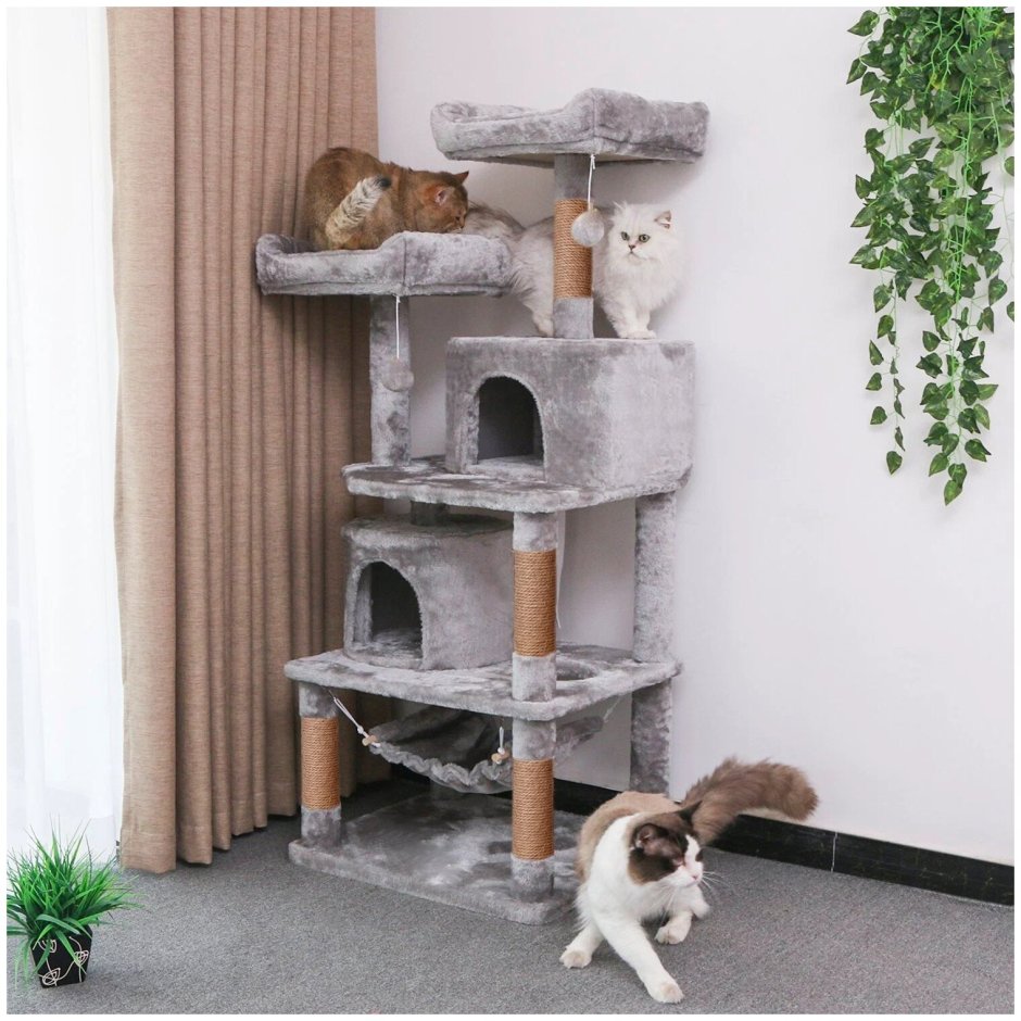 Домик для двоих кошек