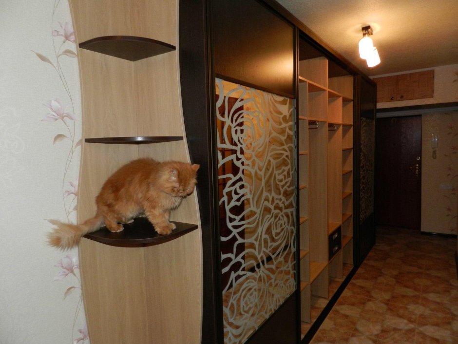 Шкаф в узкую длинную прихожую