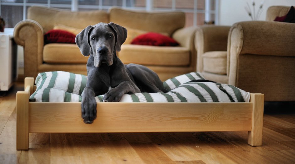 Лежак для собаки elevated Dog