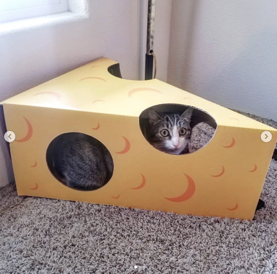 Коробка для кошки