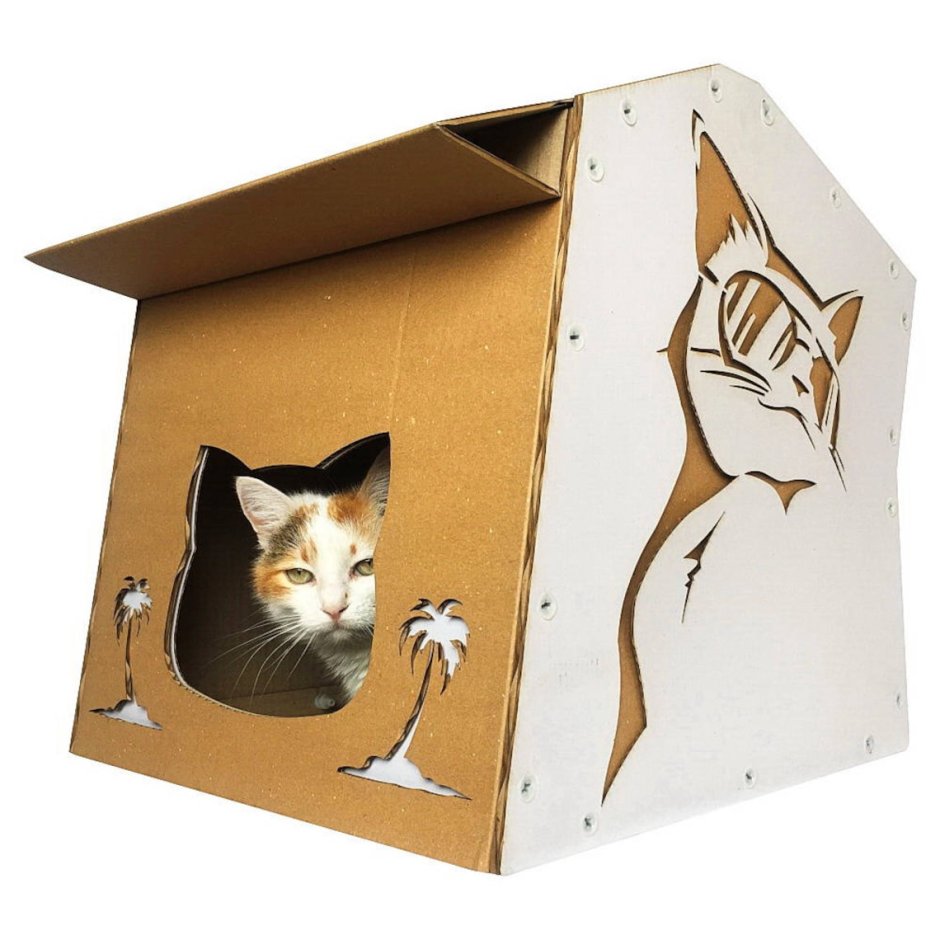 Коробка с котятами