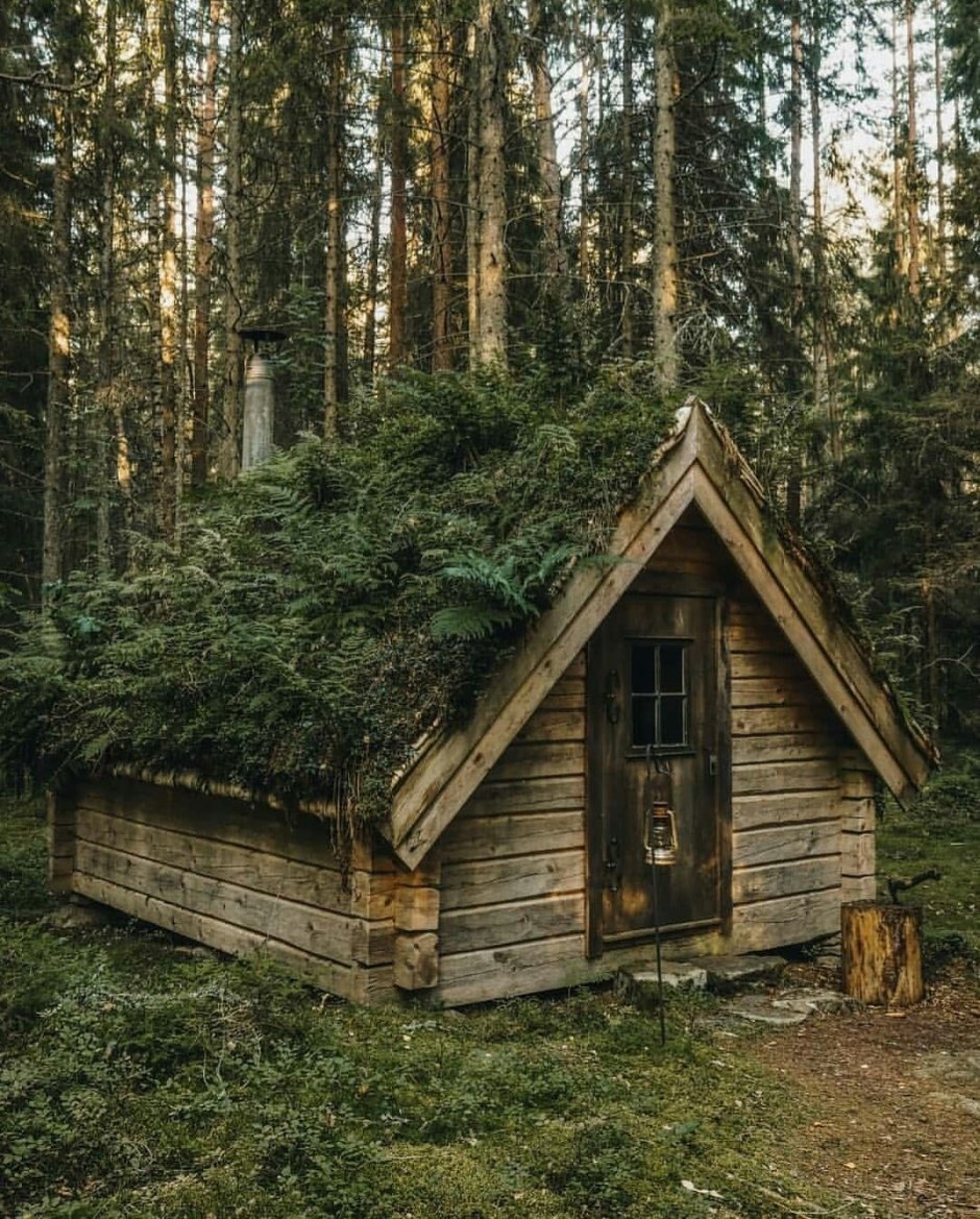 In the Cabin Woods Хижина в лесу Cabin