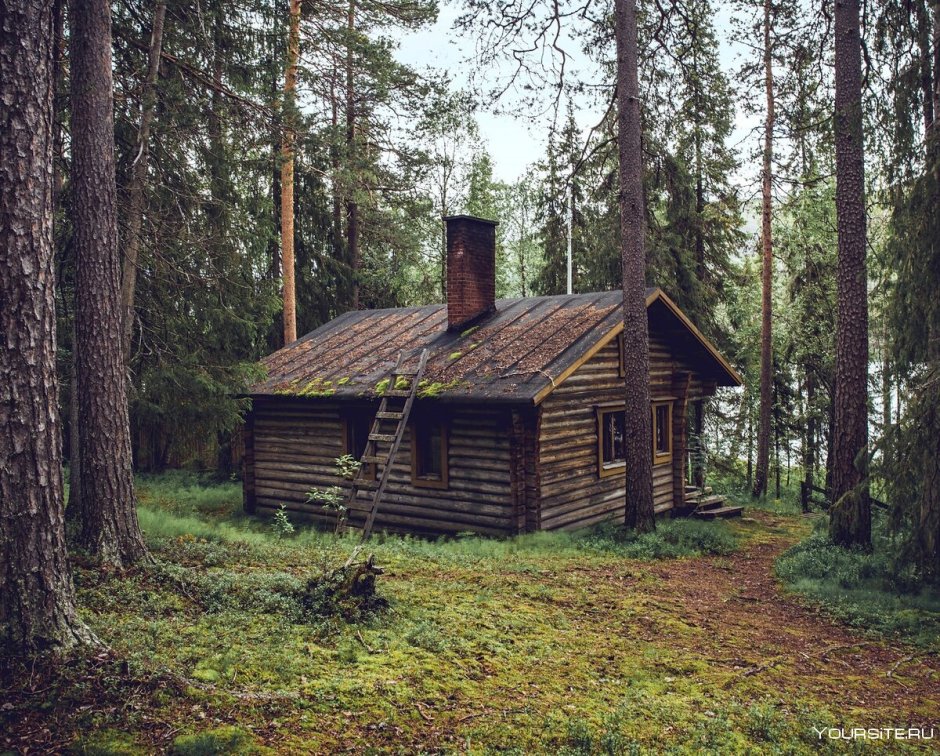 Строительство в лесу